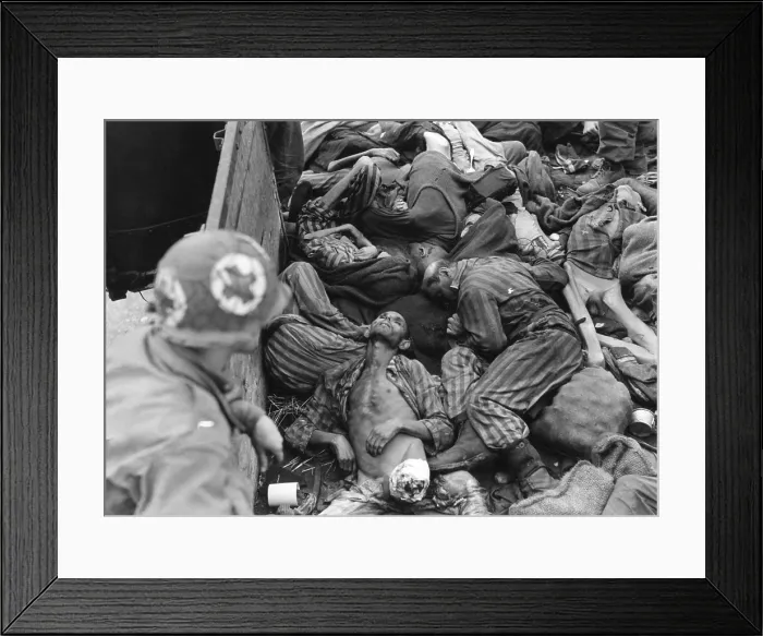 Framed Print : Seventh US Army Medical Corpsman looks into train car filled with slain or starved prisoners
