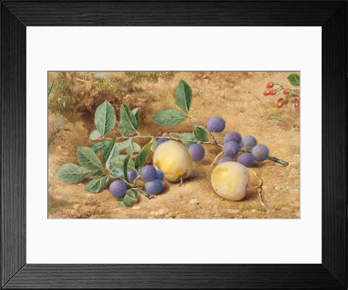 Framed Print : PLUMS, by John William Hill, 1870, American watercolor painting Framed Print : PLUMS, by John William Hill, 1870, American watercolor painting