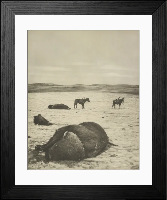 Framed Print : AFTER THE CHASE, NORTH MONTANA RANGE, January, 1882, by Laton Alton Huffman, photogravure Framed Print : AFTER THE CHASE, NORTH MONTANA RANGE, January, 1882, by Laton Alton Huffman, photogravure