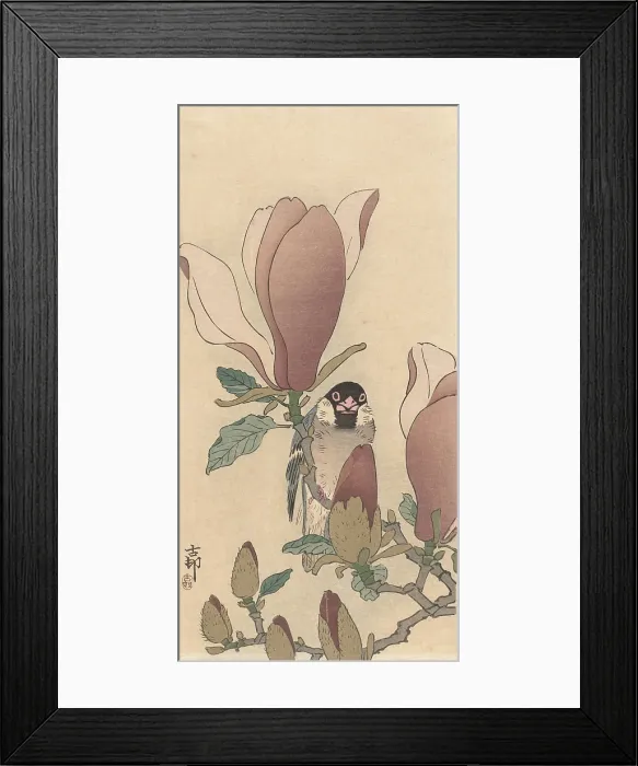 Framed Print : Sparrow on Blooming Magnolia Branch, by Ohara Koson, 1900-30, Japanese print, color woodcut (BSLOC_2016_3_291) Framed Print : Sparrow on Blooming Magnolia Branch, by Ohara Koson, 1900-30, Japanese print, color woodcut (BSLOC_2016_3_291)