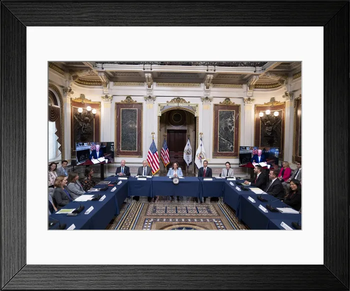 Framed Print : President Joe Biden delivers virtual remarks at the first meeting of the interagency Task Force on Reproductive Healthcare Access, Aug. 3, 2022 Framed Print : President Joe Biden delivers virtual remarks at the first meeting of the interagency Task Force on Reproductive Healthcare Access, Aug. 3, 2022