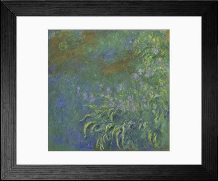 Framed Print : Irises, 1914-1926, by Claude Monet, 1840-1926, French Impressionist painting, oil on canvas