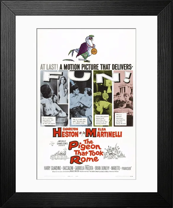 Framed Print : THE PIGEON THAT TOOK ROME, poster art, l-r: Charlton Heston, Elsa Martinelli, Harry Guardino, Gabriella Pallotta, Salvatore Baccaloni, 1962