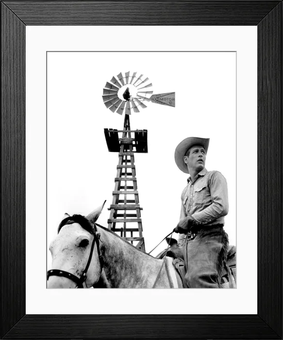 Framed Print : HUD, Paul Newman, 1963, TM & Copyright (c) 20th Century Fox Film Corp. / courtesy Everett Collection Framed Print : HUD, Paul Newman, 1963, TM & Copyright (c) 20th Century Fox Film Corp. / courtesy Everett Collection