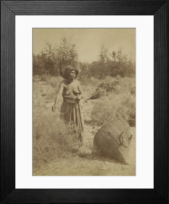 Framed Print : Moapariat Paiute woman gathers seeds in the Moapa River Valley in Southern Nevada's desert lowlands. 1874 photo by John Hillers