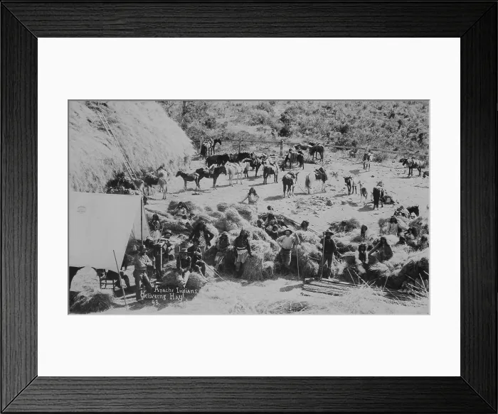 Framed Print : Cibecue Apaches and / or White Mountain Apaches deliver hay at Fort Apache, Arizona, in 1893. Photo by C. A. Merkey