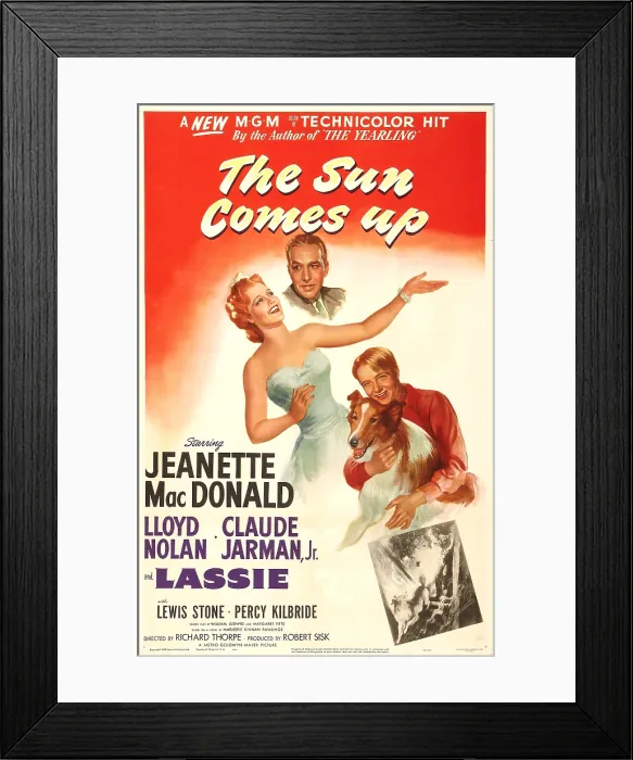 Framed Print : THE SUN COMES UP, US poster, from top: Lloyd Nolan, Jeanette MacDonald, Claude Jarman Jr. Lassie, 1949 Framed Print : THE SUN COMES UP, US poster, from top: Lloyd Nolan, Jeanette MacDonald, Claude Jarman Jr. Lassie, 1949