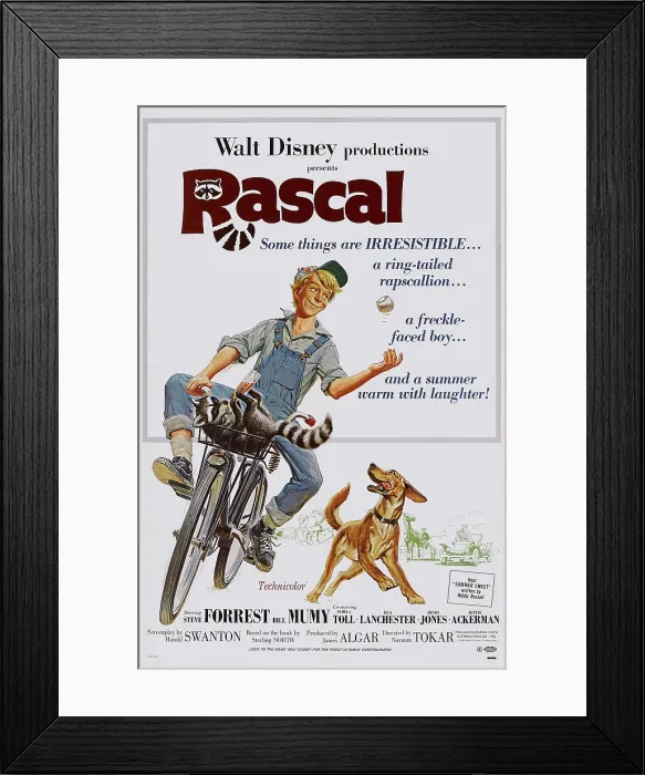 Framed Print : RASCAL, US poster art, Billy Mumy, 1969