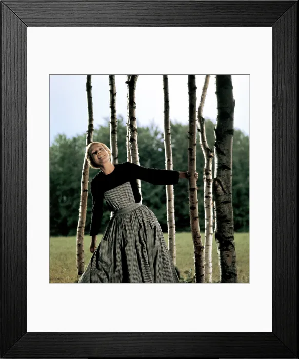 Framed Print : THE SOUND OF MUSIC, Julie Andrews, 1965. TM & Copyright 20th Century Fox Film Corp. All rights reserved / courtesy Everett Collection