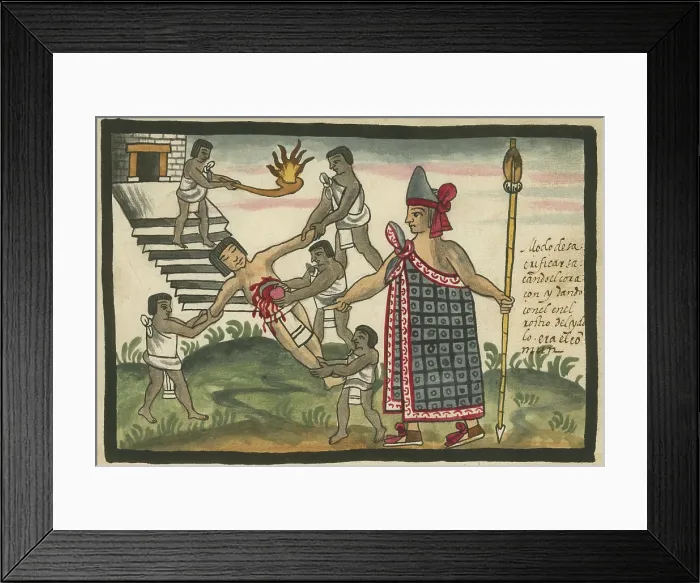Framed Print : Aztec human sacrifice, in which a beating human heart was removed, for placement on the face of an idol (not shown) on a pyramid. A priest presides over the sacrifice Framed Print : Aztec human sacrifice, in which a beating human heart was removed, for placement on the face of an idol (not shown) on a pyramid. A priest presides over the sacrifice