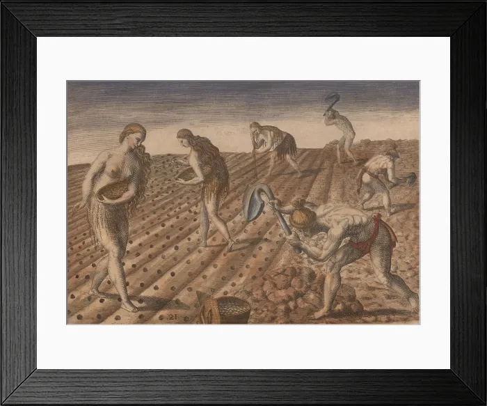 Framed Print : Native American (Timucuan) men till the earth and women plant seeds in this 1591 engraving published by Theodore de Bry, based on a 1564 drawings Jacques le Moyne de Morgues Framed Print : Native American (Timucuan) men till the earth and women plant seeds in this 1591 engraving published by Theodore de Bry, based on a 1564 drawings Jacques le Moyne de Morgues