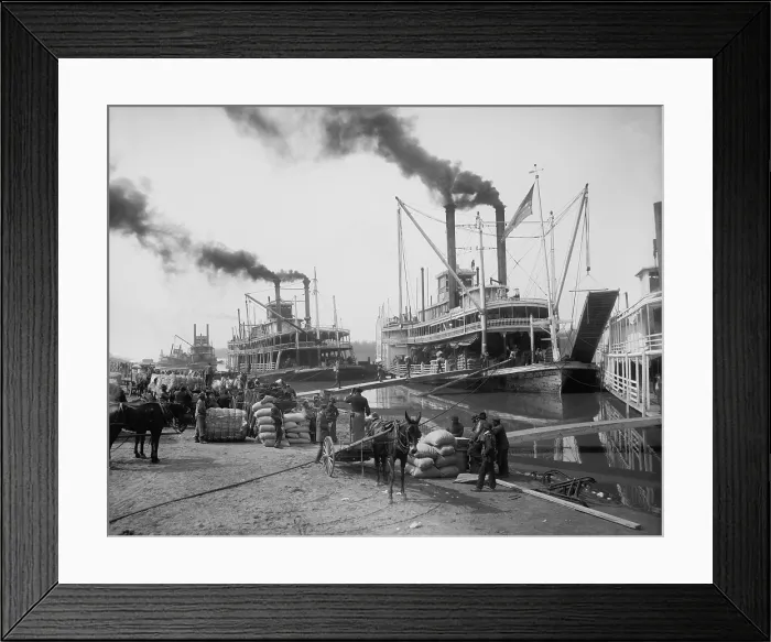 Framed Print : Sternwheeler paddleboats line up a the Vicksburg, Mississippi landing, 1910-1920