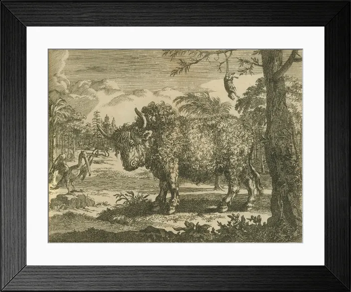 Framed Print : 17th century depictions of an American bison, a pelican, and opossum hanging by its tail from a tree branch
