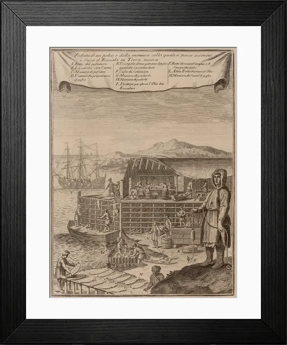 Framed Print : A fish drying station in New France or Newfoundland, in the 18th century Framed Print : A fish drying station in New France or Newfoundland, in the 18th century