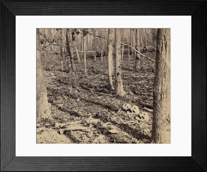Framed Print : US Civil War. The Overland Campaign, The Wilderness, May 5-7, 1864. Skulls and bones of unburied soldiers in the woods after the Wilderness battle