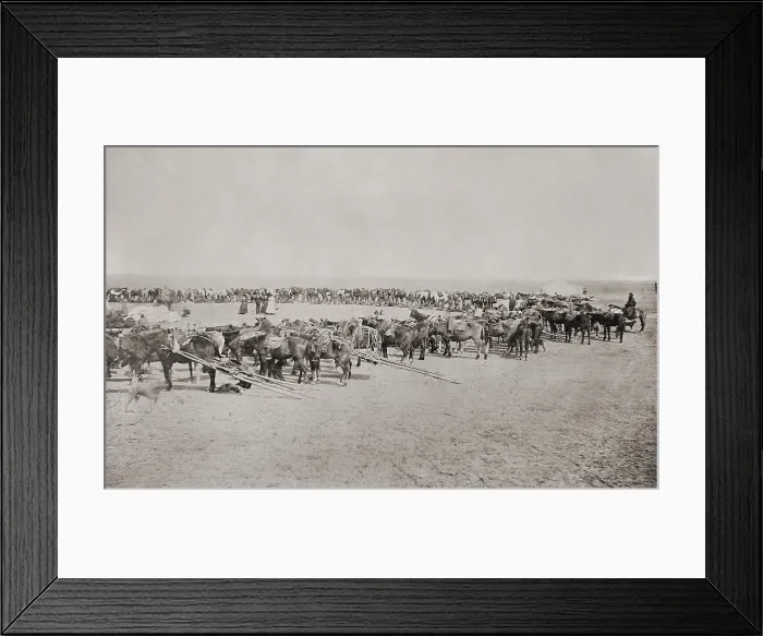 Framed Print : Native Americans draw rations at Camp Supply in western Indian Territory (now the Oklahoma Panhandle) ca. 1871. The Indians form a circle with their horses and travois Framed Print : Native Americans draw rations at Camp Supply in western Indian Territory (now the Oklahoma Panhandle) ca. 1871. The Indians form a circle with their horses and travois