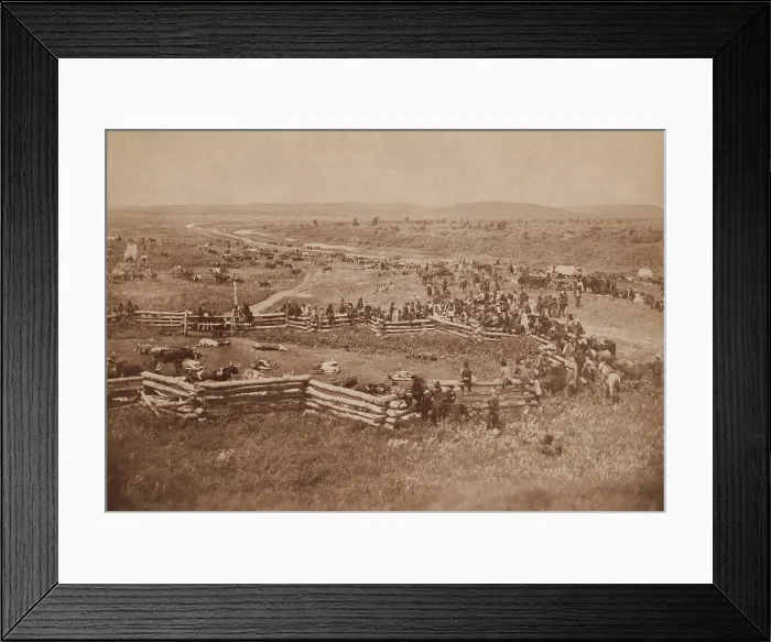 Framed Print : Native Americans shooting US government supplied cattle at Standing Rock Reservation, ca. 1890 Framed Print : Native Americans shooting US government supplied cattle at Standing Rock Reservation, ca. 1890