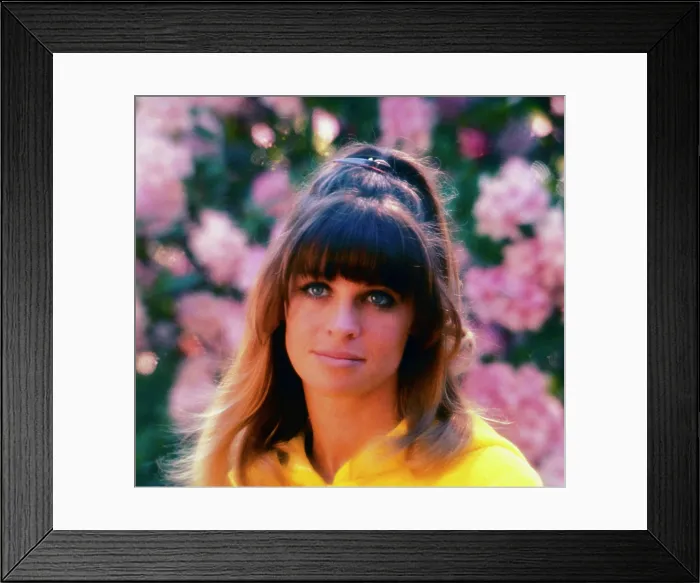 Framed Print : PETULIA, Julie Christie, 1968 Framed Print : PETULIA, Julie Christie, 1968