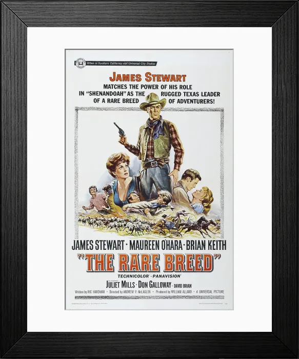 Framed Print : THE RARE BREED, US poster, from left: Maureen O'Hara, James Stewart, Brian Keith, Juliet Mills, 1966 Framed Print : THE RARE BREED, US poster, from left: Maureen O'Hara, James Stewart, Brian Keith, Juliet Mills, 1966