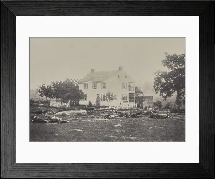 Framed Print : Dead artillery horses at the Trostle home, from the 9th Massachusetts Battery, on the Gettysburg battle field near the Peach Orchard