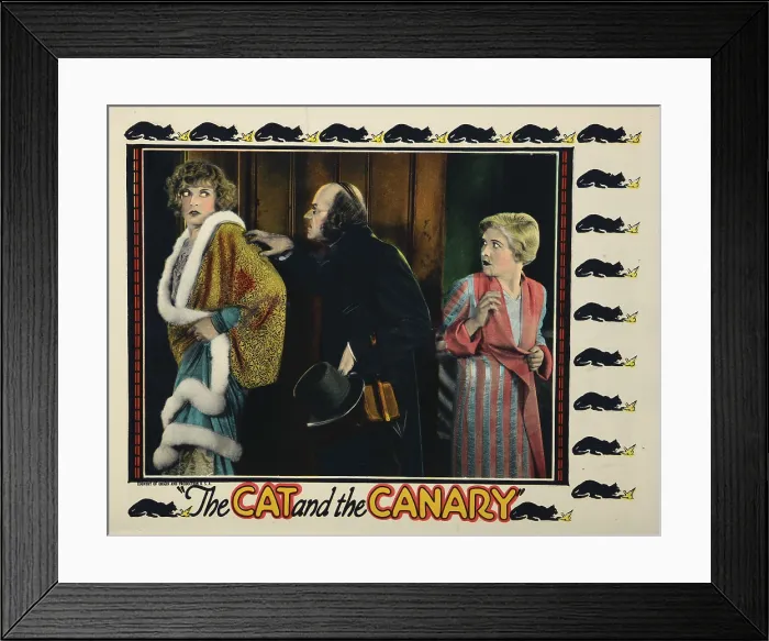 Framed Print : THE CAT AND THE CANARY, Gertrude Astor (left), Lucien Littlefield, Laura La Plante (right), 1927, surprised