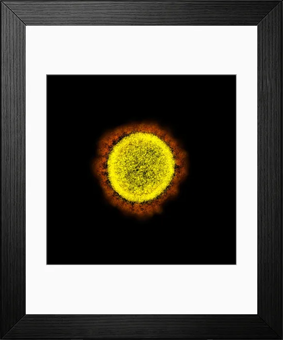 Framed Print : Novel Coronavirus SARS-CoV-2, the virus that causes COVID19. One virus particle isolated from a patient Framed Print : Novel Coronavirus SARS-CoV-2, the virus that causes COVID19. One virus particle isolated from a patient