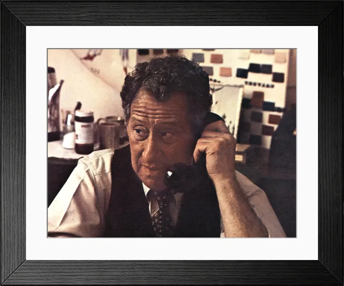 Framed Print : SAVE THE TIGER, Jack Gilford, 1973 Framed Print : SAVE THE TIGER, Jack Gilford, 1973
