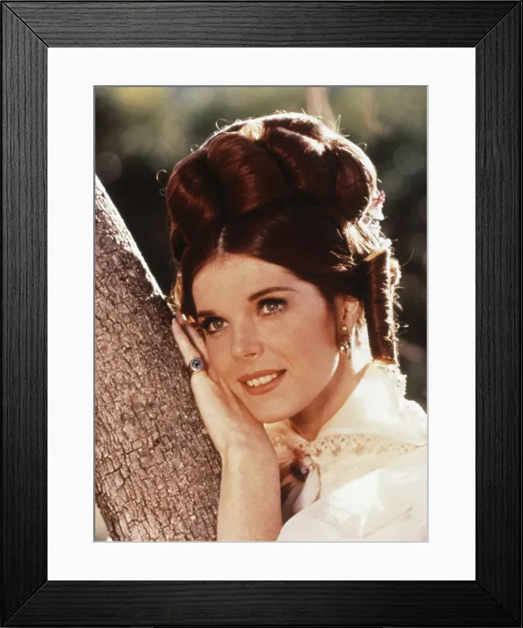 Framed Print : DOCTOR DOLITTLE, Samantha Eggar, 1967, TM & Copyright (c) 20th Century Fox Film Corp. / courtesy Everett Collection