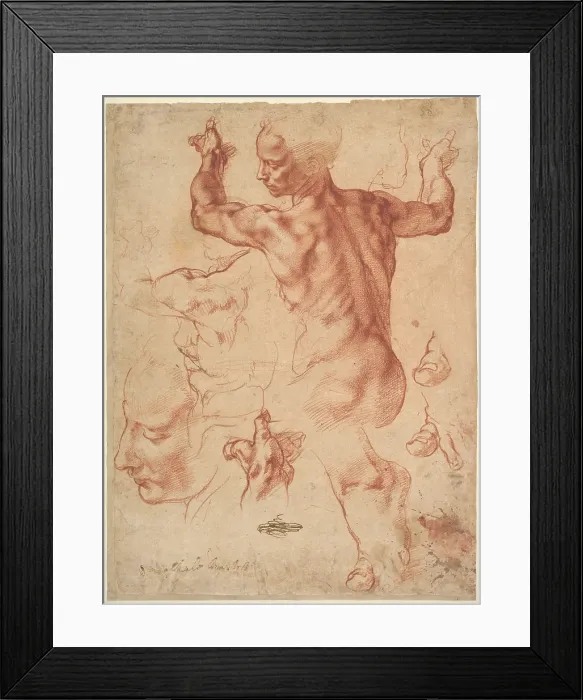 Framed Print : STUDIES FOR THE LIBYAN SIBYL, by Michelangelo, 1510-11, Italian Renaissance chalk drawing