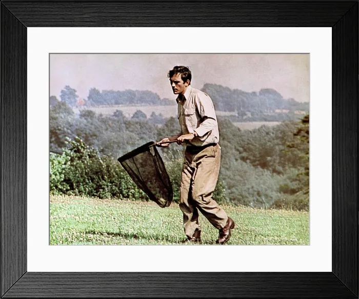 Framed Print : THE COLLECTOR, Terence Stamp, 1965