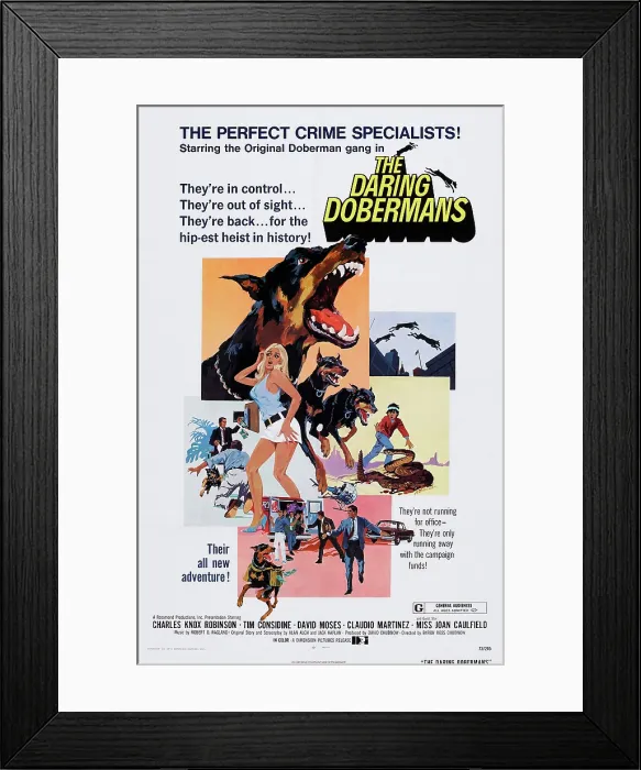Framed Print : THE DARING DOBERMANS, U.S. poster, 1973