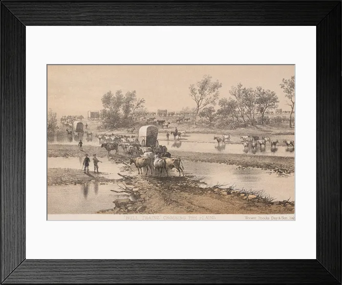 Framed Print : BULL TRAINS CROSSING THE PLAINS, 1867-68. Teams of oxen pull the wagons of the US Geographical Survey Expedition for a southern railroad to the Pacific Ocean (BSLOC_2019_9_197)