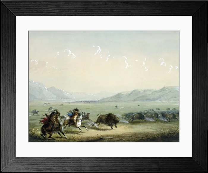 Framed Print : RUNNING BUFFALO, 1858-1860, by Alfred Jacob Miller. An Indian on a well-trained white horse has separated a bison from the herd and is aiming his arrow at the animal's heart