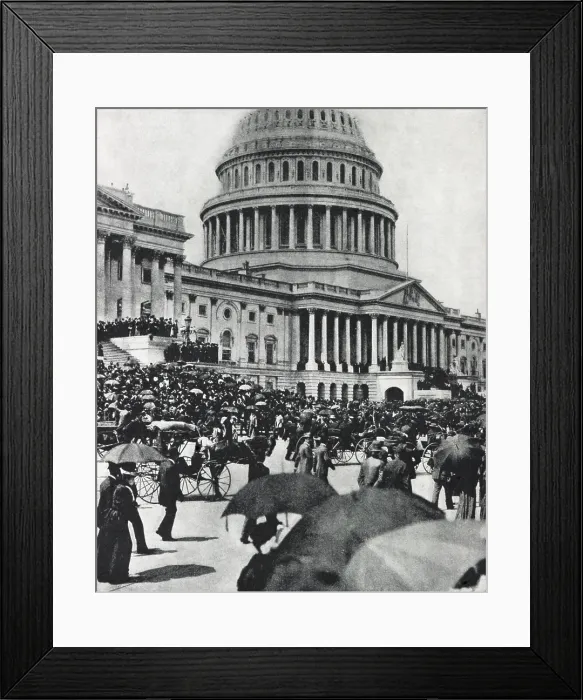 Framed Print : Crowd at the Capitol awaiting the arrival of Coxey's army on May 1, 1894. Congressmen are gathered on the upper steps (BSLOC_2018_2_103)
