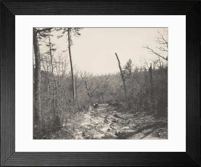 Framed Print : Man attempting to drive a horse and carriage on a rocky dirt road through woods, 1894. The road was at Biltmore, Asheville, North Carolina (BSLOC_2018_2_179)