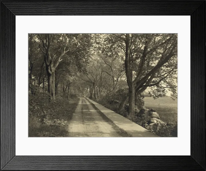 Framed Print : Tree-lined wooden sidewalk and Church Road at Rye Beach, New Hampshire, 1913 (BSLOC_2018_2_180) Framed Print : Tree-lined wooden sidewalk and Church Road at Rye Beach, New Hampshire, 1913 (BSLOC_2018_2_180)