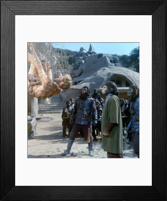 Framed Print : PLANET OF THE APES, Charlton Heston, Kim Hunter, etc, 1968. TM & Copyright 20th Century Fox Film Corp. All rights reserved. Courtesy: Everett Collection