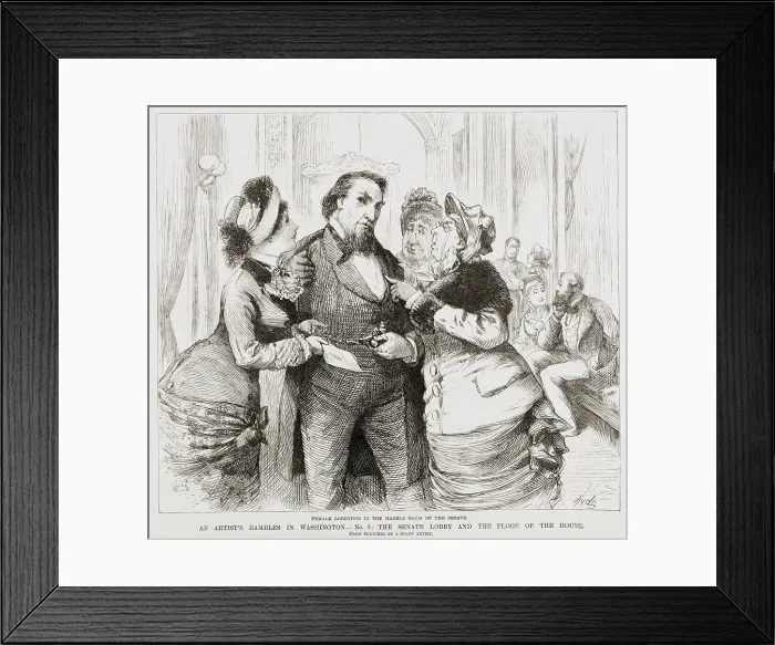 Framed Print : Female lobbyists in the Marble Room of the Senate, 1884