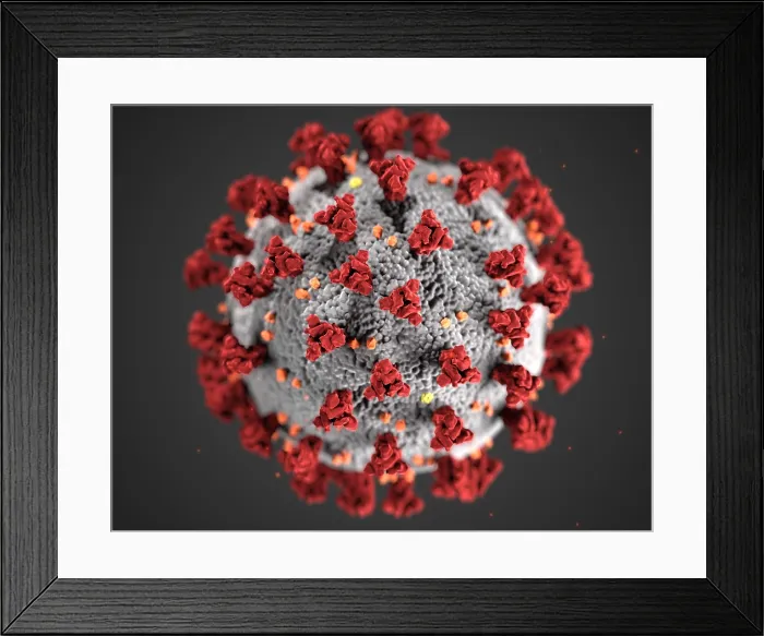 Framed Print : Novel Coronavirus SARS-CoV-2, causes coronavirus disease-2019, abbreviated as COVID-19. An illustration shows the spikes on the virus outer surface