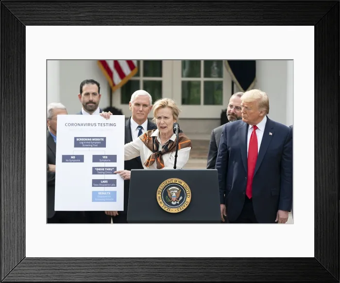 Framed Print : President Donald Trump announced a national emergency in response to the Covid-19 pandemic