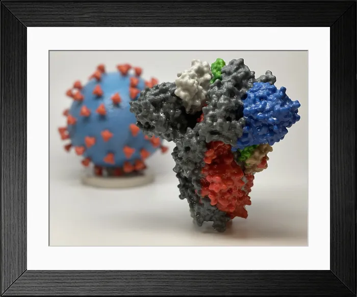 Framed Print : Novel Coronavirus SARS-CoV-2, causes coronavirus disease-2019, abbreviated as COVID-19. Scientific representation created in the form of a 3-D print Framed Print : Novel Coronavirus SARS-CoV-2, causes coronavirus disease-2019, abbreviated as COVID-19. Scientific representation created in the form of a 3-D print