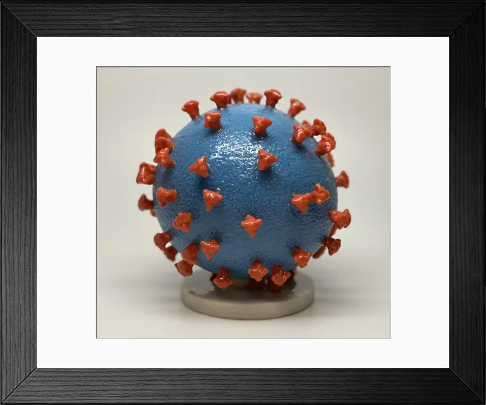 Framed Print : Novel Coronavirus SARS-CoV-2, causes coronavirus disease-2019, abbreviated as COVID-19. Scientific representation created in the form of a 3-D print Framed Print : Novel Coronavirus SARS-CoV-2, causes coronavirus disease-2019, abbreviated as COVID-19. Scientific representation created in the form of a 3-D print