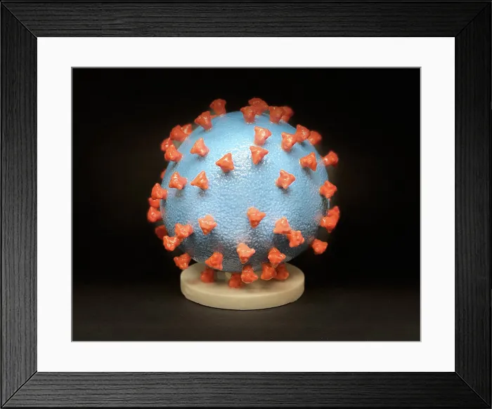 Framed Print : Novel Coronavirus SARS-CoV-2, causes coronavirus disease-2019, abbreviated as COVID-19. Scientific representation created in the form of a 3-D print Framed Print : Novel Coronavirus SARS-CoV-2, causes coronavirus disease-2019, abbreviated as COVID-19. Scientific representation created in the form of a 3-D print