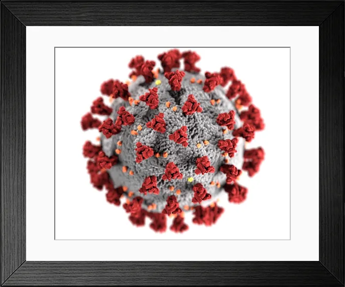 Framed Print : Novel Coronavirus SARS-CoV-2, causes coronavirus disease-2019, abbreviated as COVID-19. An illustration shows the spikes on the virus outer surface