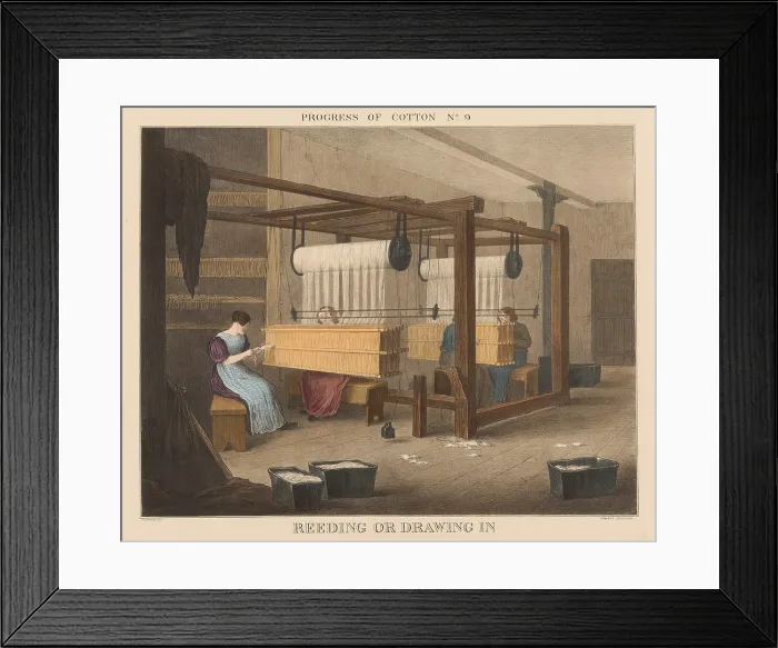 Framed Print : British 1840s depiction the Progress of Cotton, by Richard Barfoot, 9 of 12. Reeding or drawing