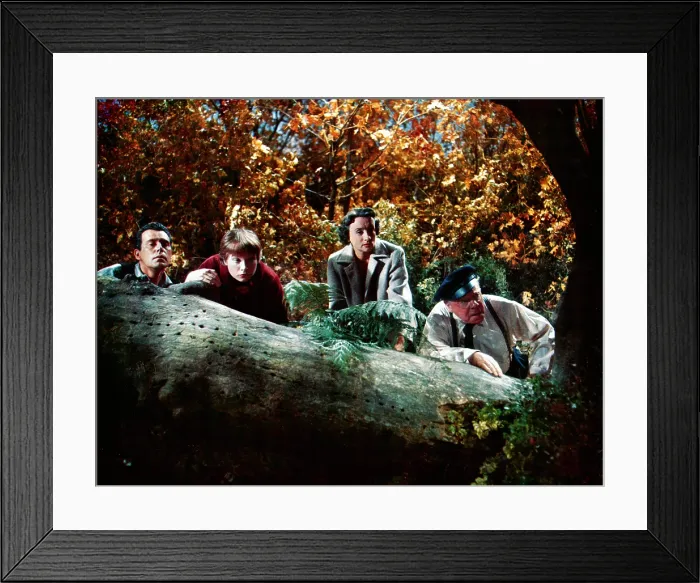 Framed Print : THE TROUBLE WITH HARRY, John Forsythe, Shirley MacLaine, Mildred Natwick, Edmund Gwenn, 1955