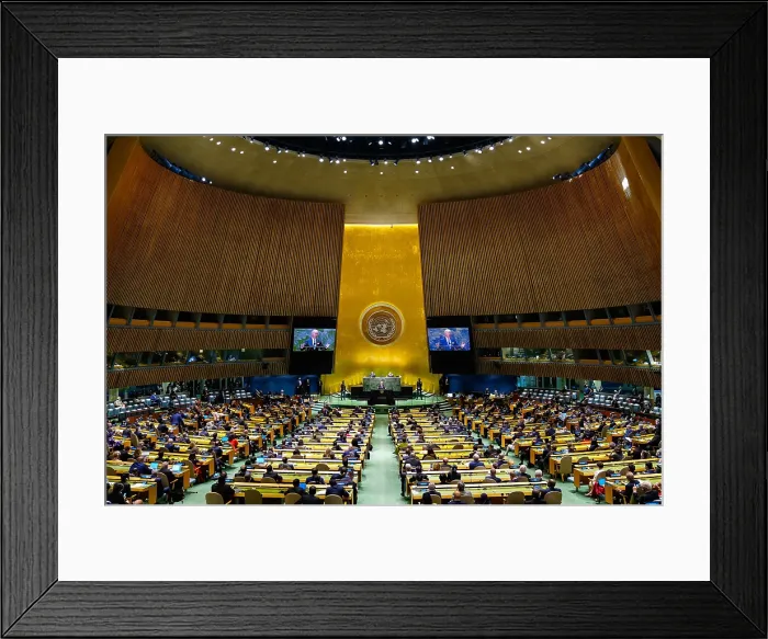 Framed Print : President Joe Biden delivers remarks at the United Nations General Assembly, Sept. 21, 2021. He addressed the death of 4.5 million to the COVID-19 pandemic (BSLOC_2021_15_9)