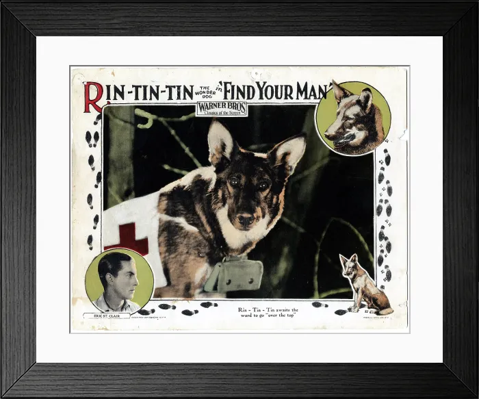 Framed Print : FIND YOUR MAN, Eric St. Clair, (inset), Rin Tin Tin, 1924 Framed Print : FIND YOUR MAN, Eric St. Clair, (inset), Rin Tin Tin, 1924