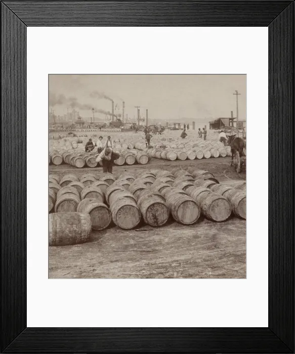 Framed Print : Men work among thousands of barrels of sugar on the levee in New Orleans, 1902. A man in the foreground tastes sugar from a barrel
