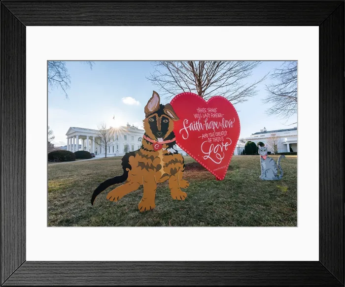 Framed Print : Cut outs of White House pets, Commander and Willow, on the North Lawn of the White House, Feb. 14, 2022, Valentine's Day